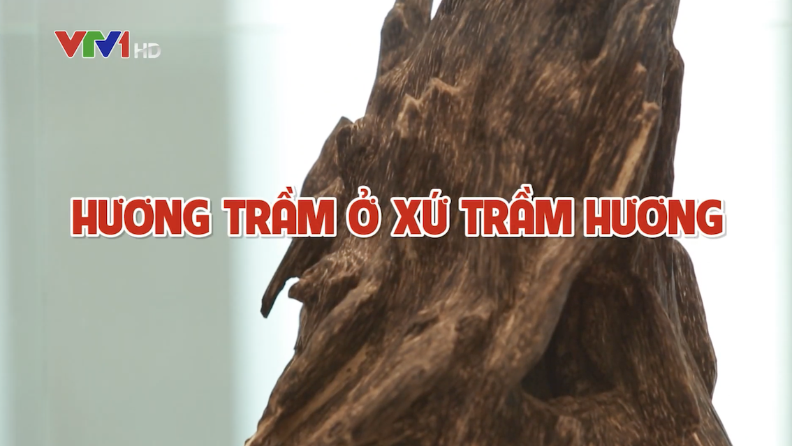 Hương trầm ở xứ trầm hương - Nét đẹp dân gian  VTV1