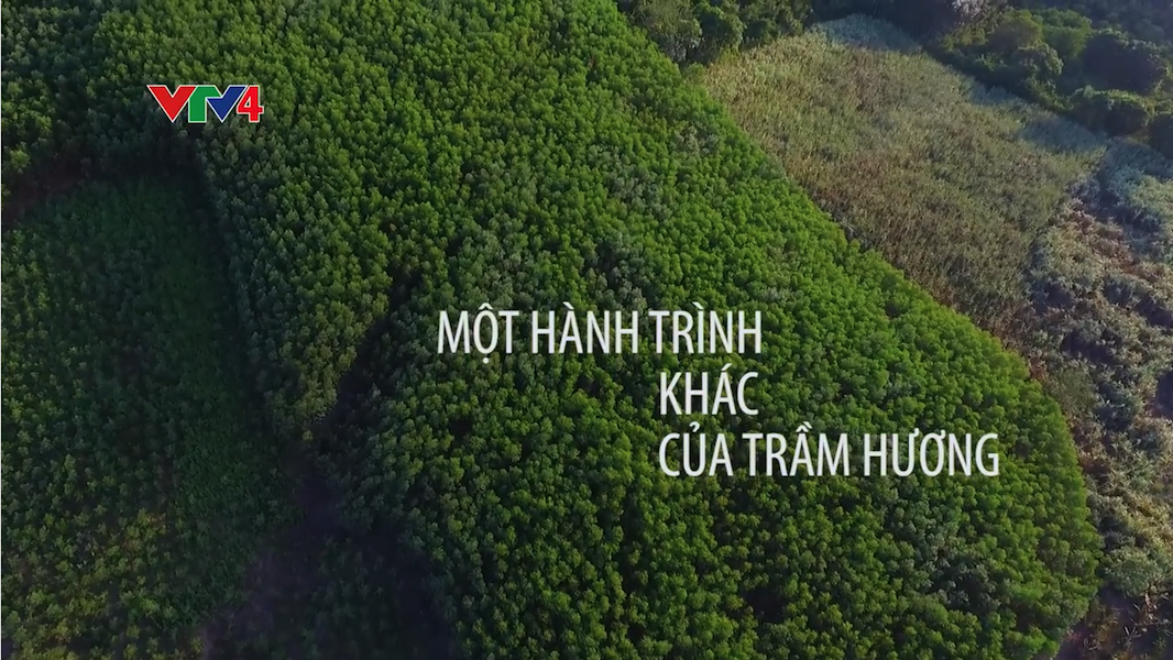 Một hành trình khác của Trầm Hương